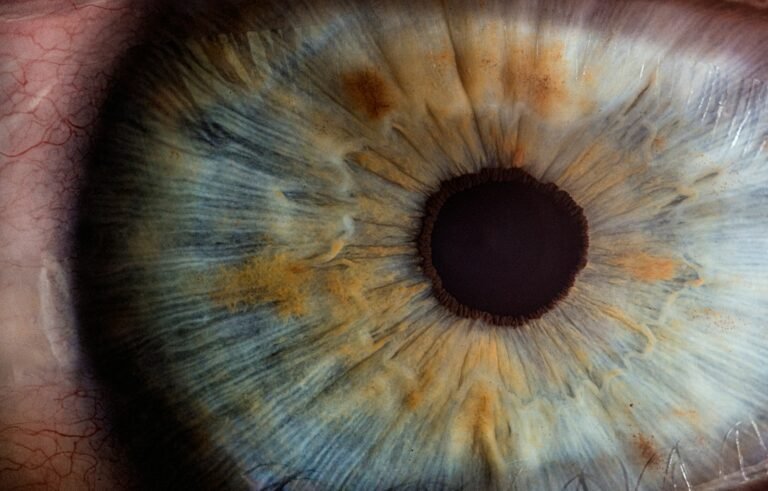 Gros plan macro d un oeil humain illustrant l anatomie oculaire concernee par les corps flottants