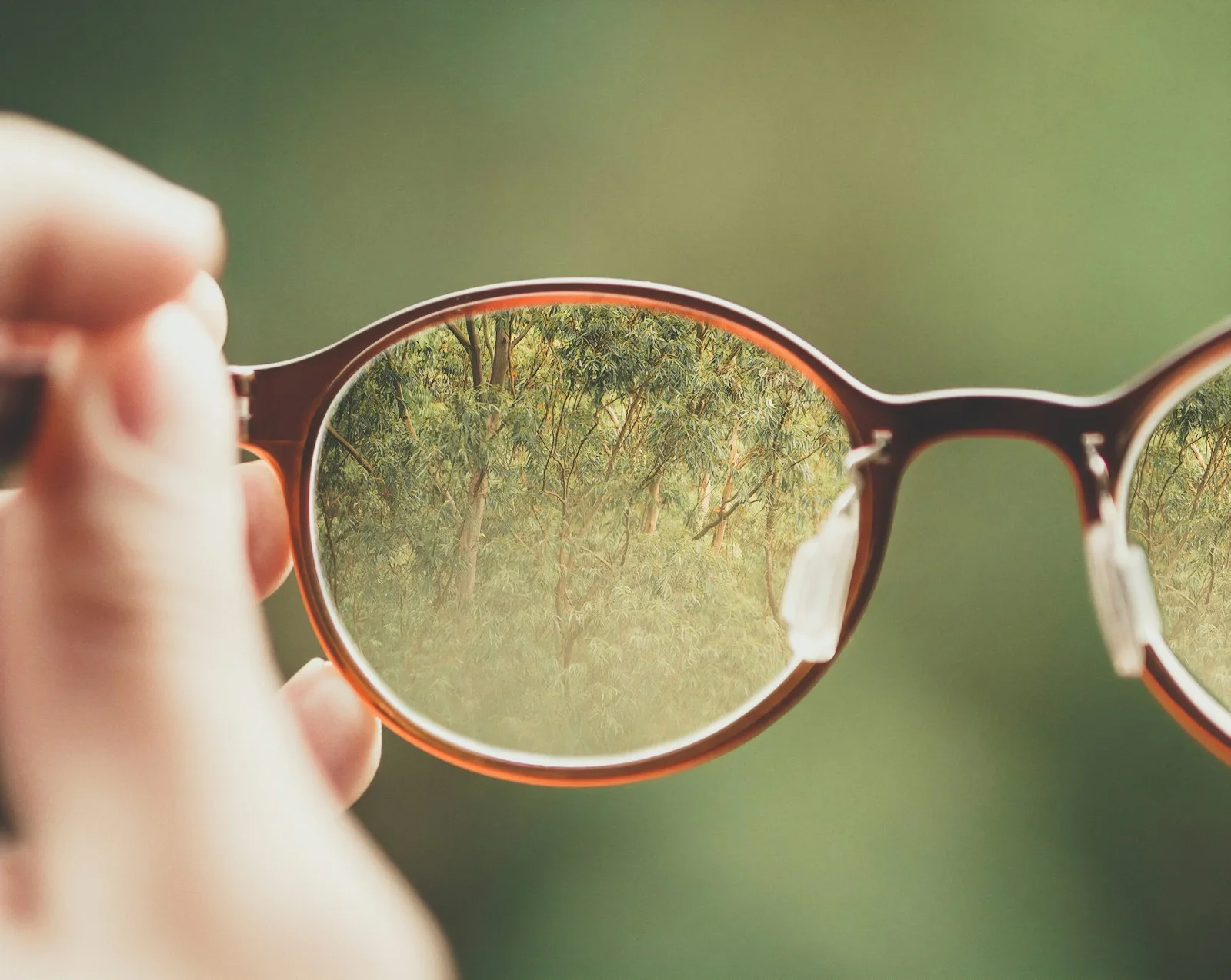 Corrective eyeglasses and lenses at the optician